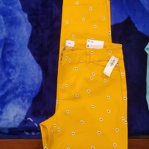 Mid-rise Pixie Ankle Pants for Women